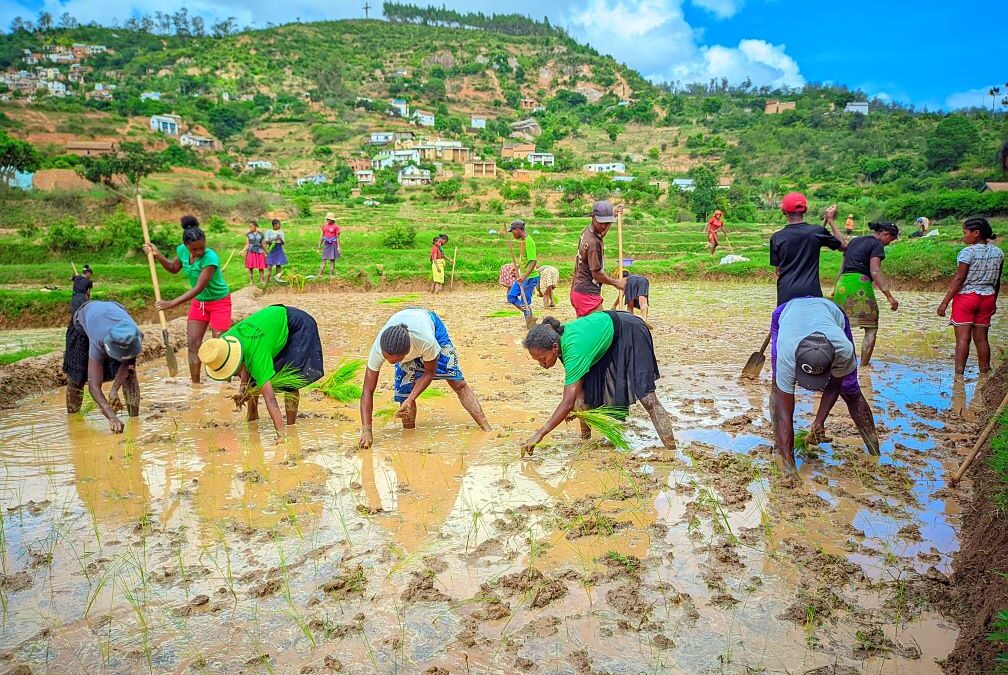 Formation en agriculture, élevage durable et écotourisme