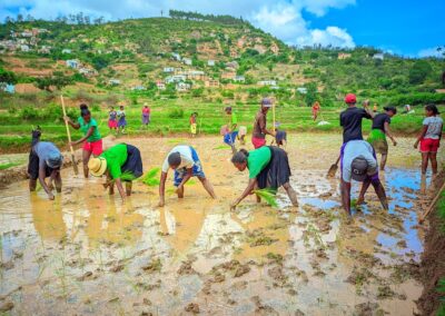 Formation en agriculture, élevage durable et écotourisme